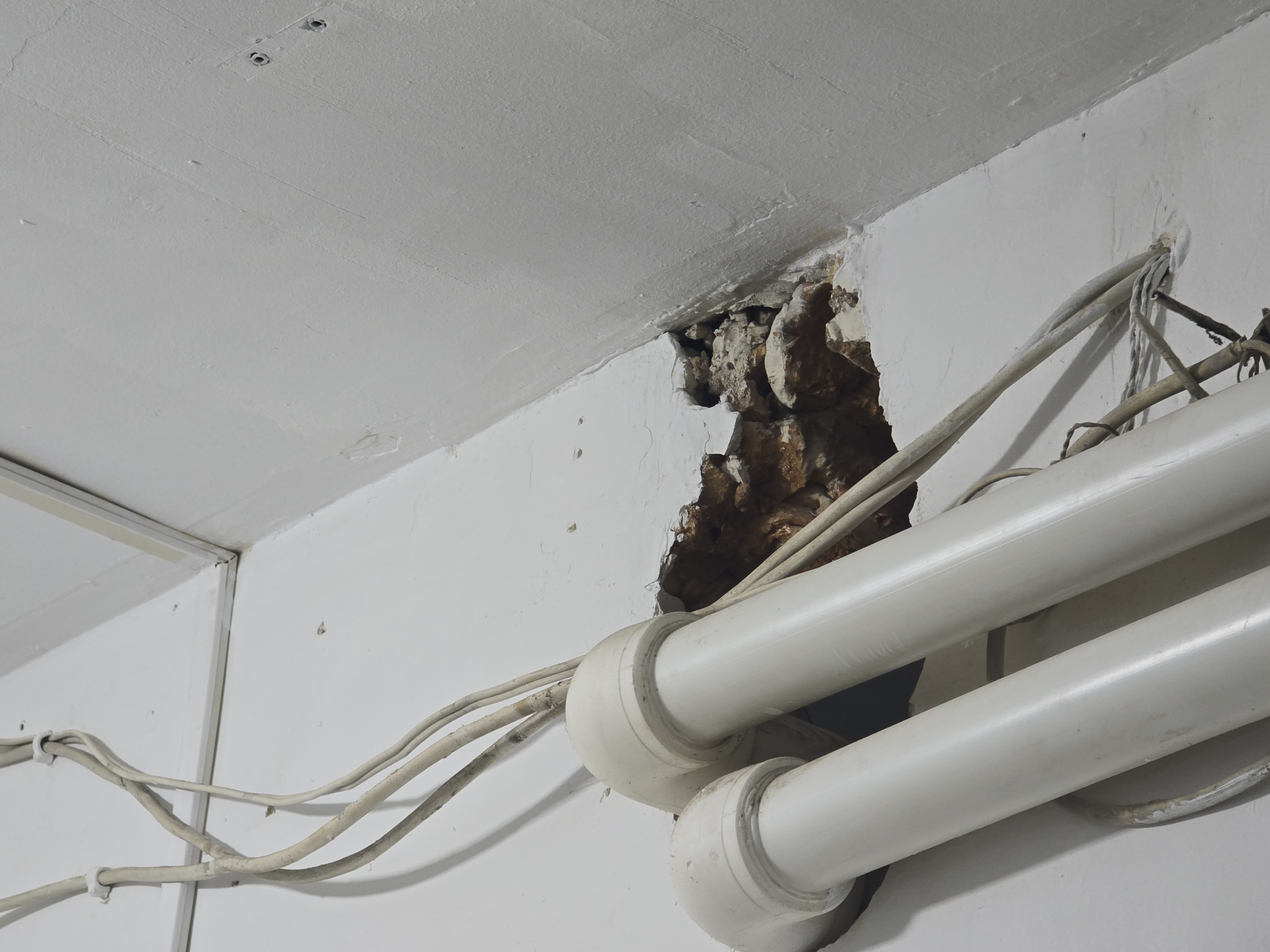 20260316_141636 (2)_1774012799.jpg